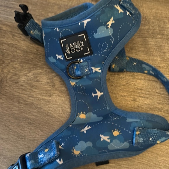 Sassy Woof Dog Harness - Picture 1 of 3